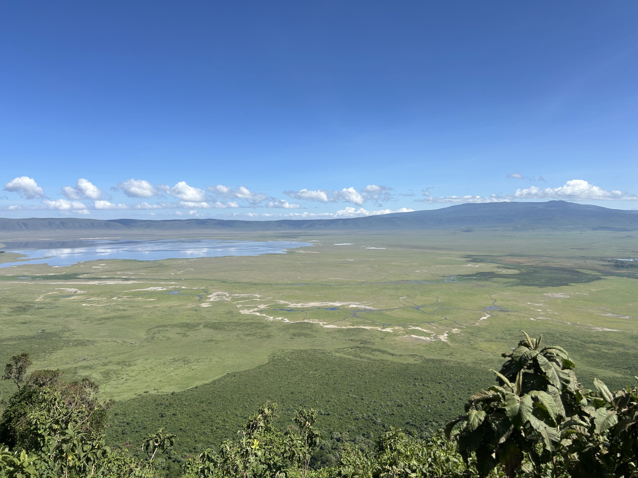 Safari in der Serengeti & Erholung auf Sansibar