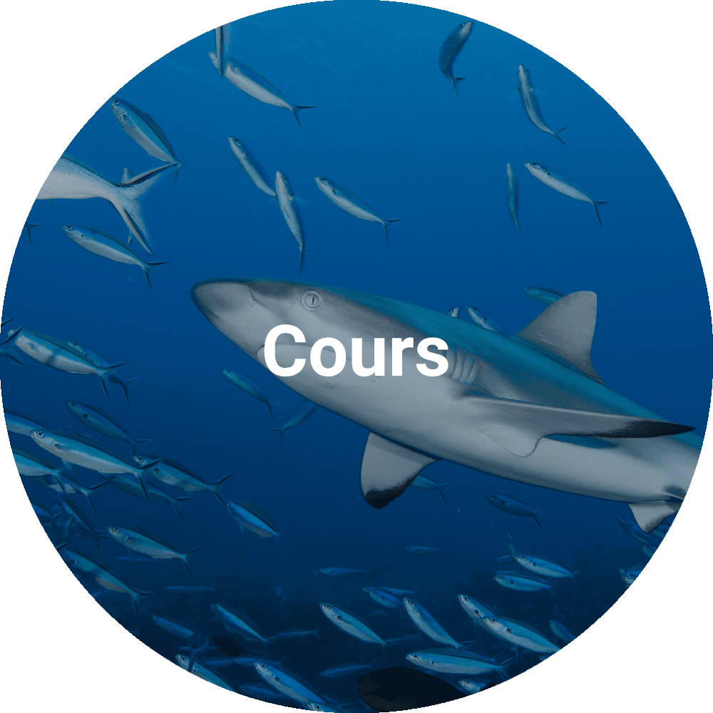 NASDS Cours