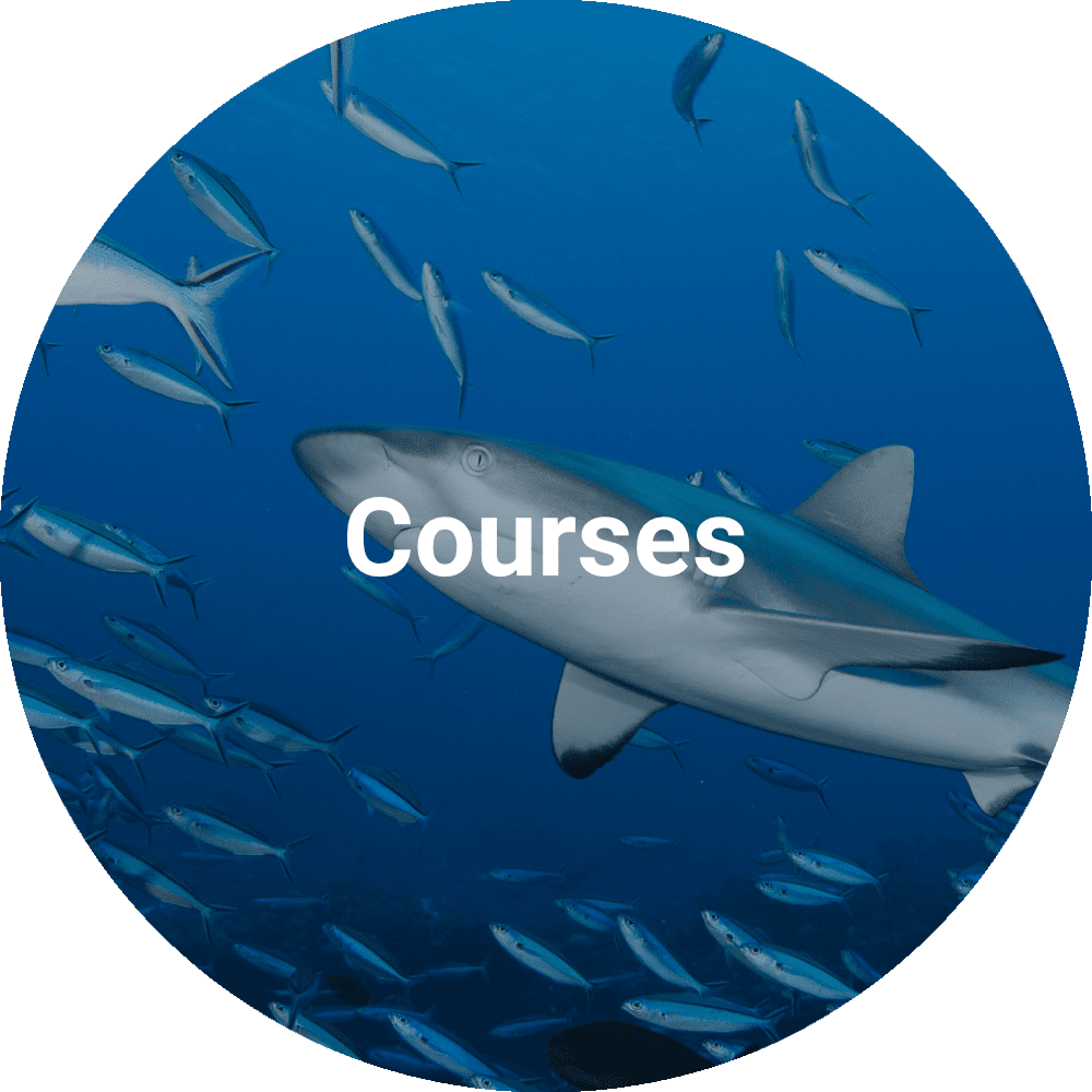 NASDS Courses