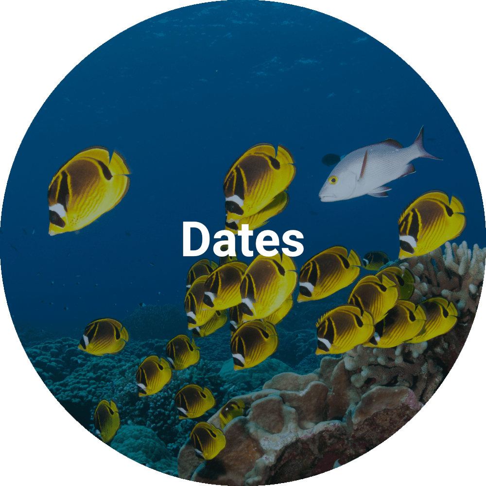 NASDS Dates